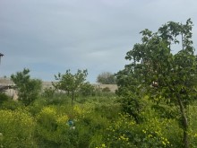 Sale Land merdekan, -4