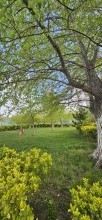 Sale Cottage  Nardaran, -4