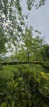 Sale Cottage  Nardaran, -5