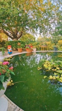 Sale Cottage  Nardaran, -14