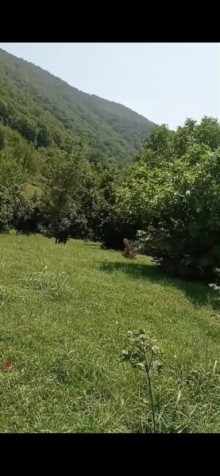 Продажа Дача Qax rayonu Qaşqaçay, -2