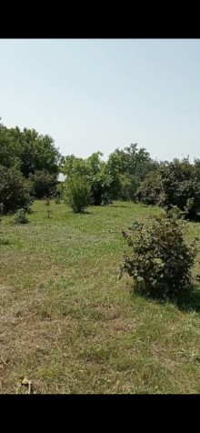 Продажа Дача Qax rayonu Qaşqaçay, -3