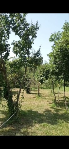 Продажа Дача Qax rayonu Qaşqaçay, -6