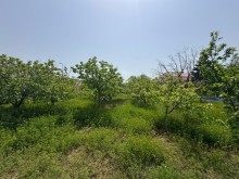 Продажа Участок suvelan, -8