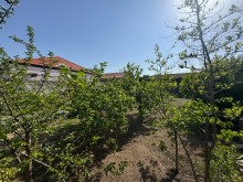 Продажа Участок merdekan, -5