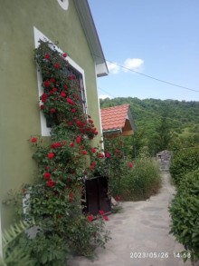 Rent (daily) Villa İsmayıllı rayonu Qalacıq kəndi, -7