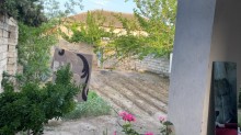 Şüvəlan Zİyarətgah və Liseyə yaxın həyət evi satılır, -5