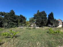 sale-land-baku-sabunchu-bilgah-koroglu-159-1747416979-s