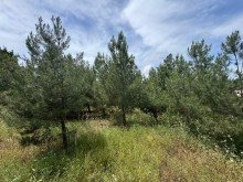 Sale Land suvelan, -2