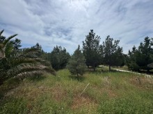 Sale Land suvelan, -6