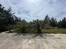 Sale Land suvelan, -7