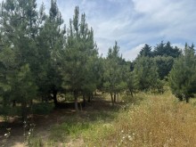 Sale Land suvelan, -9
