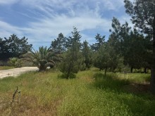 Sale Land suvelan, -10
