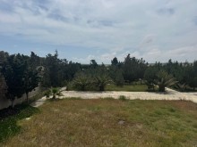 Sale Land suvelan, -12