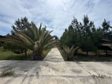 Sale Land suvelan, -13