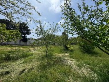 Sale Land merdekan, -2
