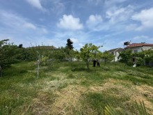 Sale Land merdekan, -4