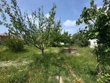 Sale Land merdekan, -5