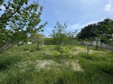 Sale Land merdekan, -6
