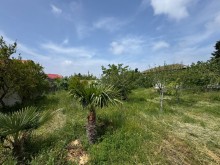 Sale Land merdekan, -7