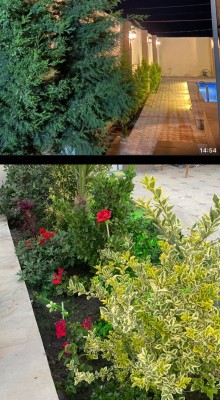 Bakıda Kirayə (Aylıq) villa  Şüvəlan, -9