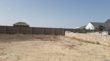 Bilgəh qəsəbəsi. Zəfəran savxozu Sale Land, -3