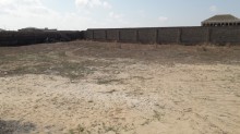 Bilgəh qəsəbəsi. Zəfəran savxozu Sale Land, -4