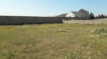Bilgəh qəsəbəsi. Zəfəran savxozu Sale Land, -6