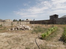 Bilgəh qəsəbəsi. Zəfəran savxozu Sale Land, -8