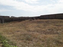 Bilgəh qəsəbəsi. Zəfəran savxozu Sale Land, -9