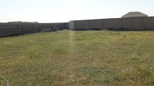 Bilgəh qəsəbəsi. Zəfəran savxozu Sale Land, -11