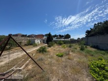 Sale Land merdekan, -10