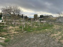 Satılır Torpaq mardakan, -3