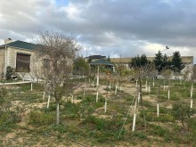 Satılır Torpaq mardakan, -6