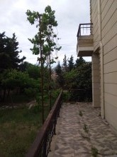 Sale Villa Mərdəkan, Khazar.r, Mardakan-5