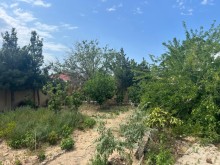 Pirşağı bağlar massivində dənizə yaxın əsl bağ evi satılır, -11