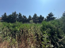 Sale Land merdekan, -6