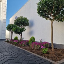 For Sale: Luxury 3-Storey Villa in One of Baku’s Most Prestigious Areas — Badamdar, -19