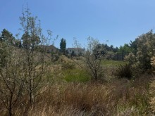 Sale Land merdekan, -4