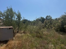 Sale Land merdekan, -5
