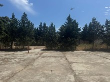 Sale Land qala, -5