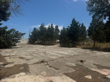 Sale Land qala, -9