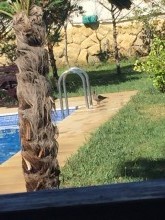 A villa is for sale in Shuvelan settlement, near the Ziyaratgah, -9