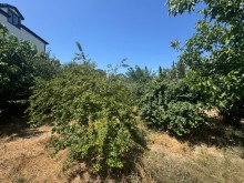 Продажа Участок merdekan, -5