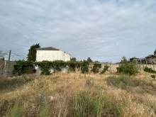 Продажа Дача Shuvelanda Haci Movlan baglari, -5