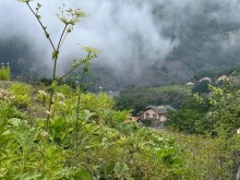 Qax Rayonu Ilisu Rent (daily) Villa, -9