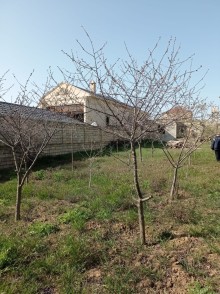 Mehdiabad Torpaq satilir, -3