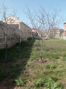 Mehdiabad Torpaq satilir, -4
