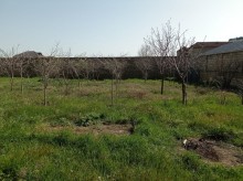 Mehdiabad Torpaq satilir, -9