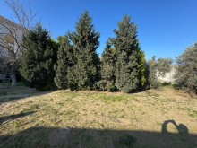 Satılır Torpaq suvelan, -9